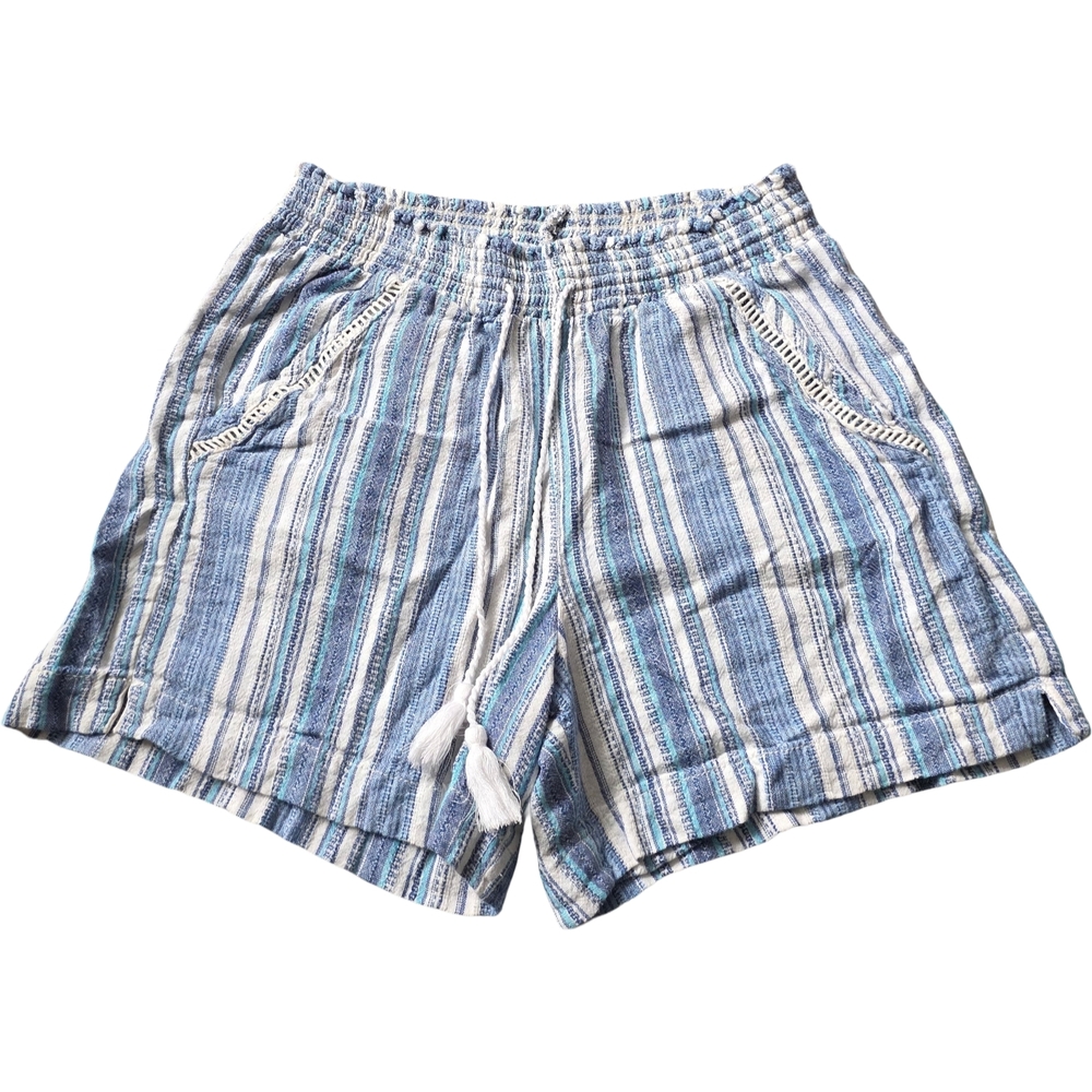 Briggs New York Blue and White Striped Women's Shorts